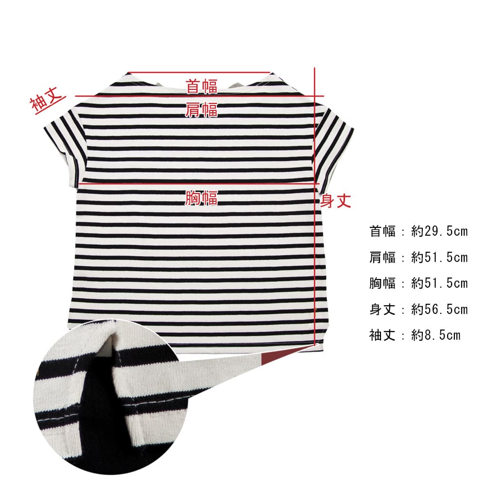 clip__size-tc801