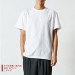 500101-model-m